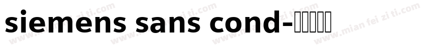 siemens sans cond字体转换